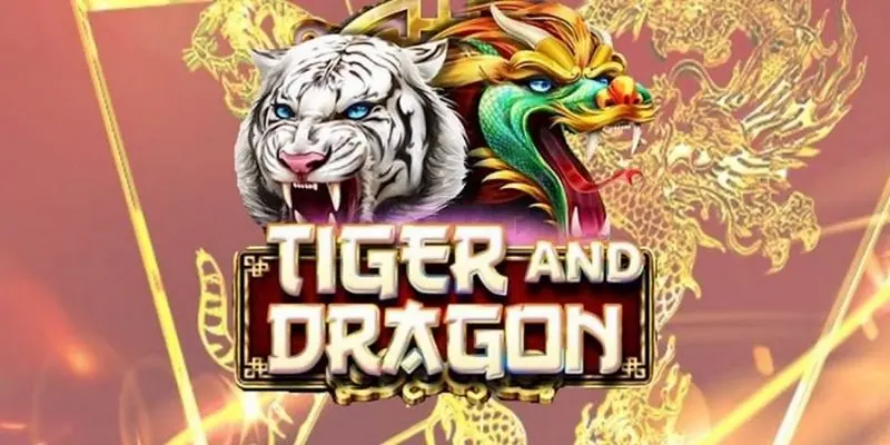 What is the Dragon Tiger Game? Dragon Tiger 2024 game rules