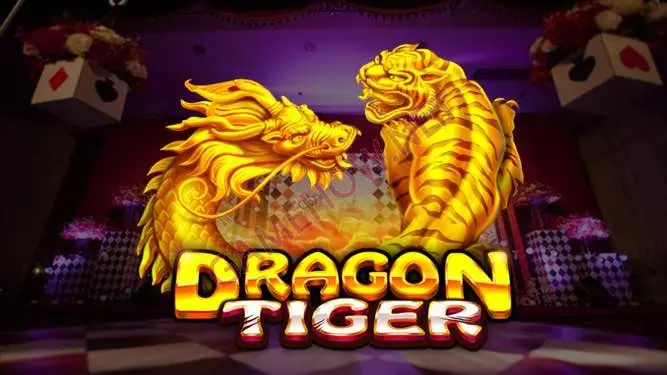 Common bet types when playing Dragon Tiger